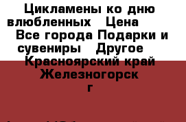 Цикламены ко дню влюбленных › Цена ­ 180 - Все города Подарки и сувениры » Другое   . Красноярский край,Железногорск г.